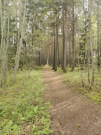 KM Terrengløp 23.05.2021